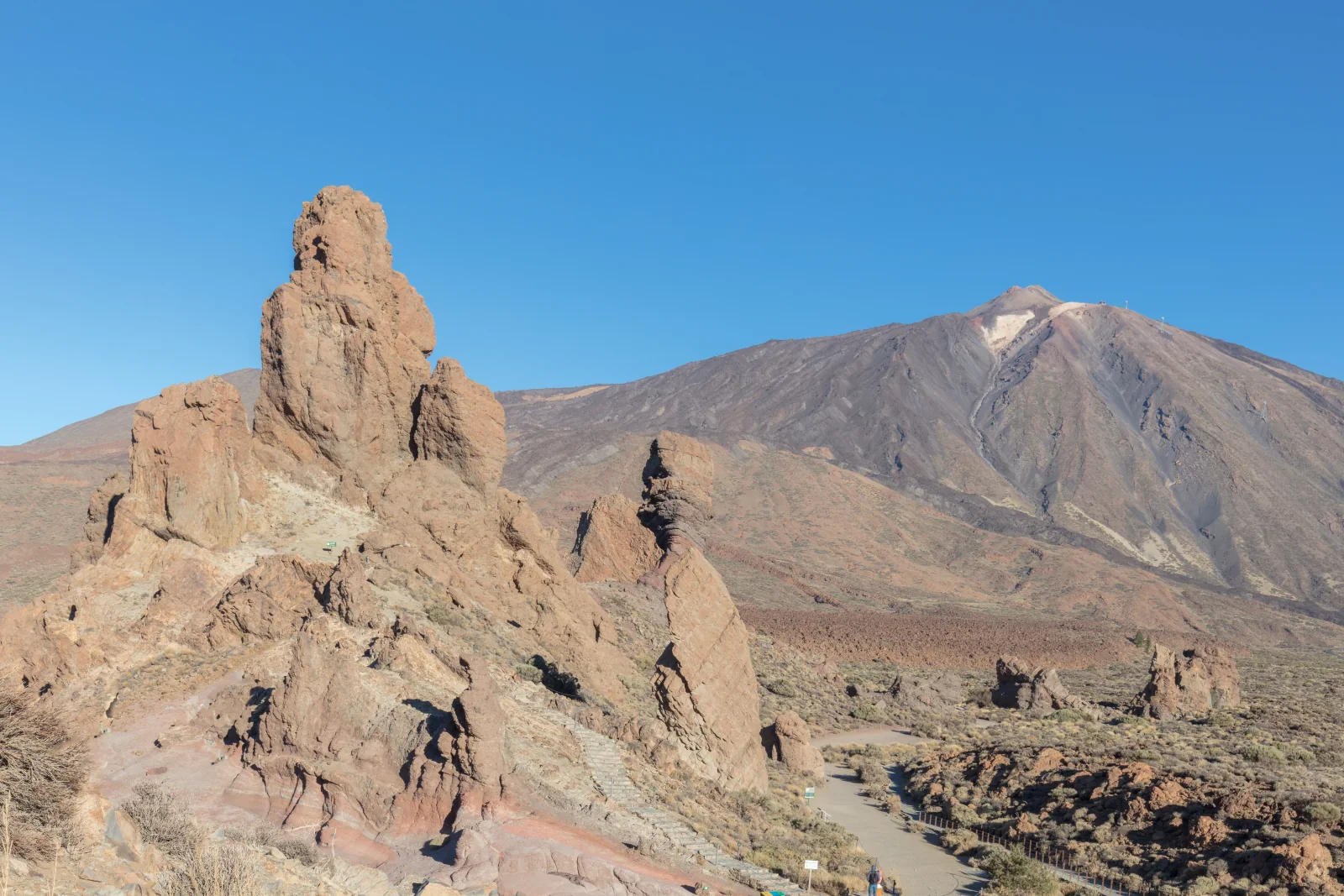 Mount Teide with volcanic landscape and red tajinaste flowers